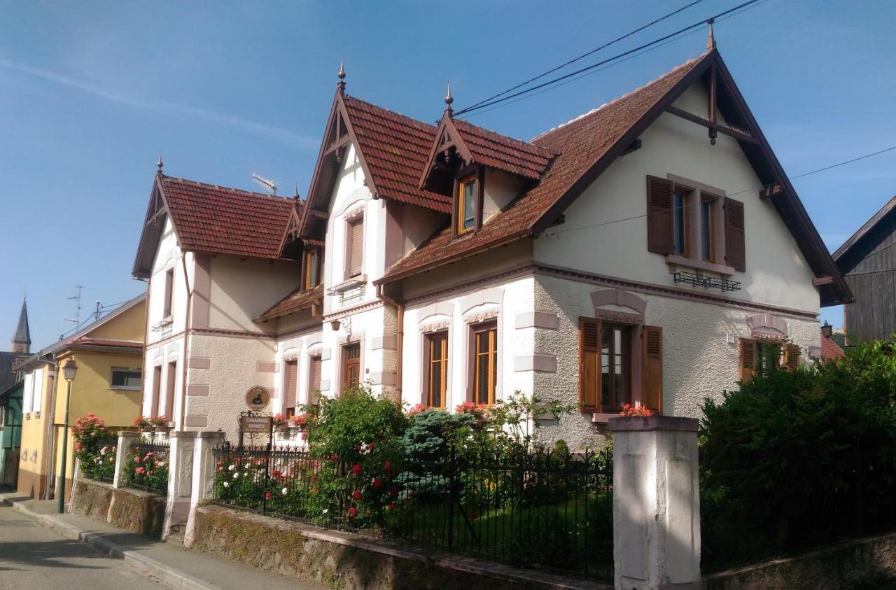 Gites Au Pied Du Haut-Koenigsbourg Kintzheim Buitenkant foto