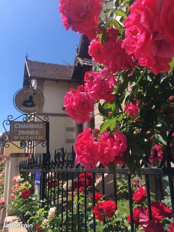 Gites Au Pied Du Haut-Koenigsbourg Kintzheim Buitenkant foto